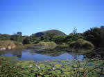 mt coolum sunshine coast