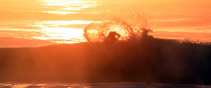 Sea Eagle watching the surf