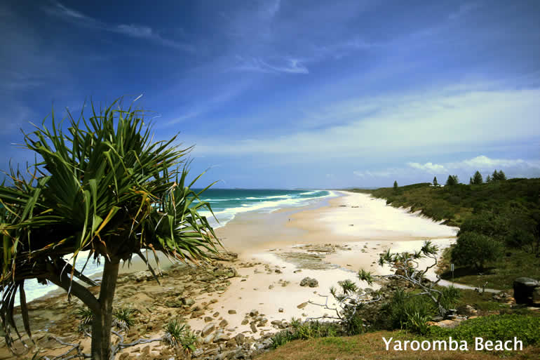 Point Arkwright Coastal Bush Walk