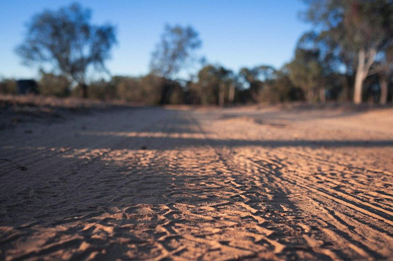 Tyre tracks in red dirt on an outback road lined with gum trees