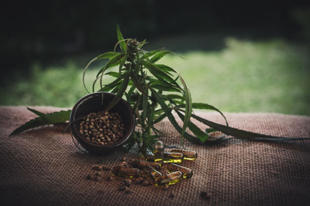 Femanized Cannabis Seeds