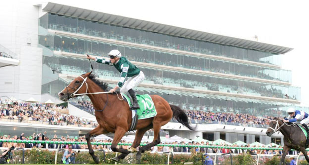 Melbourne Cup Week
